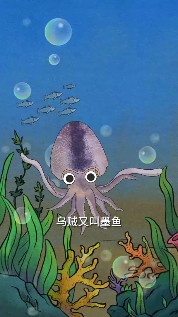 多么痛的领悟，乌贼跑得快竟然是因为没房！