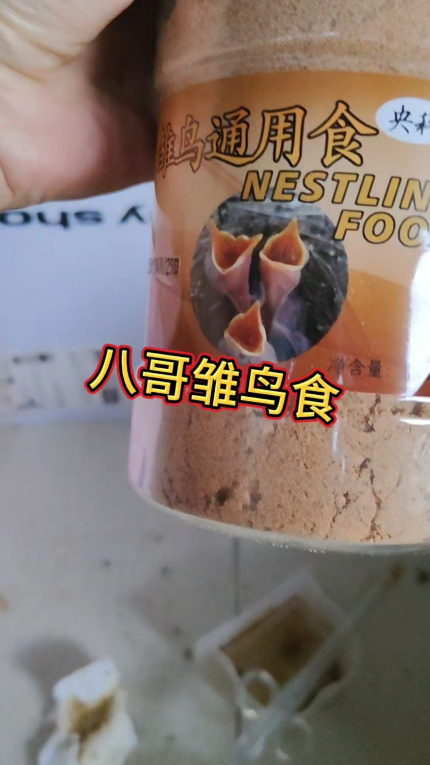 央科牌八哥雏鸟食,黑八花八海八雏鸟可以吃的营养奶粉