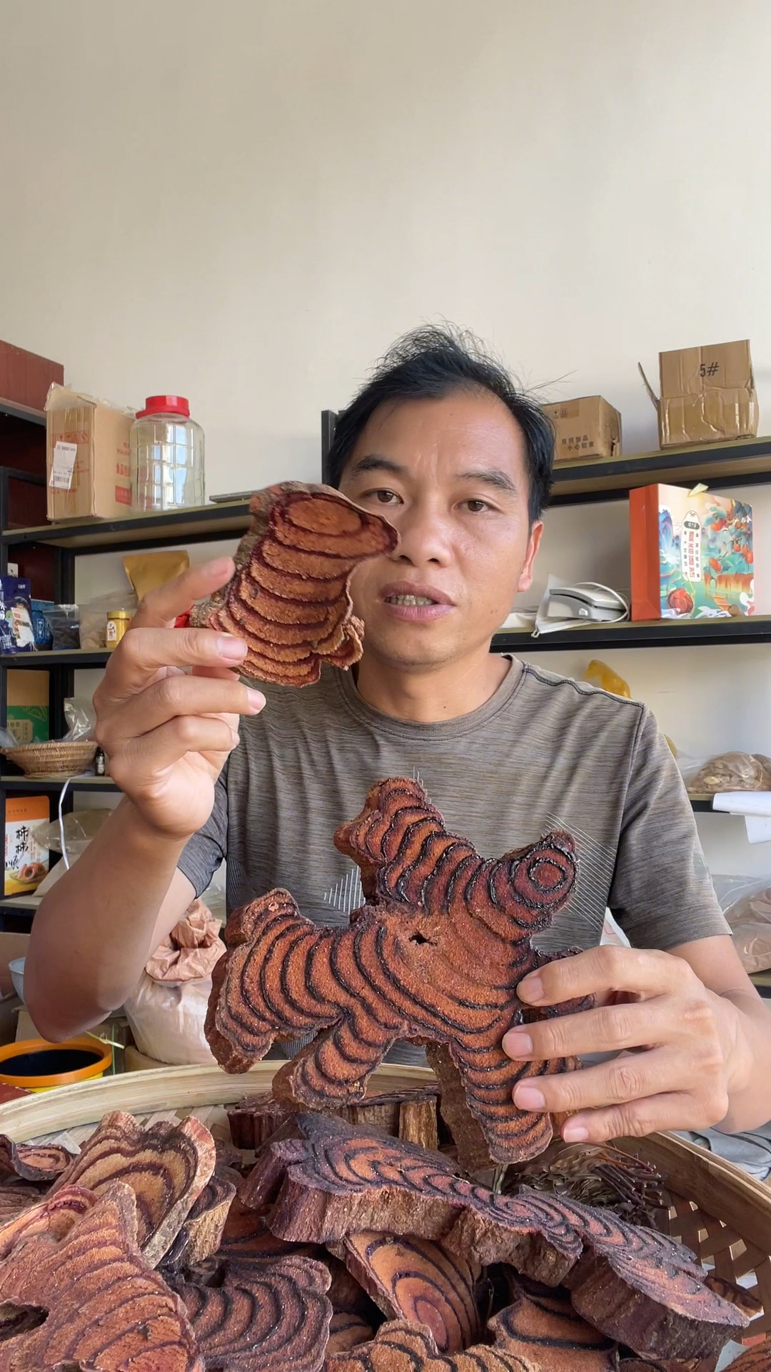 野生的鸡血藤,没想到可以拿来煲汤的,听听炮哥怎么说的