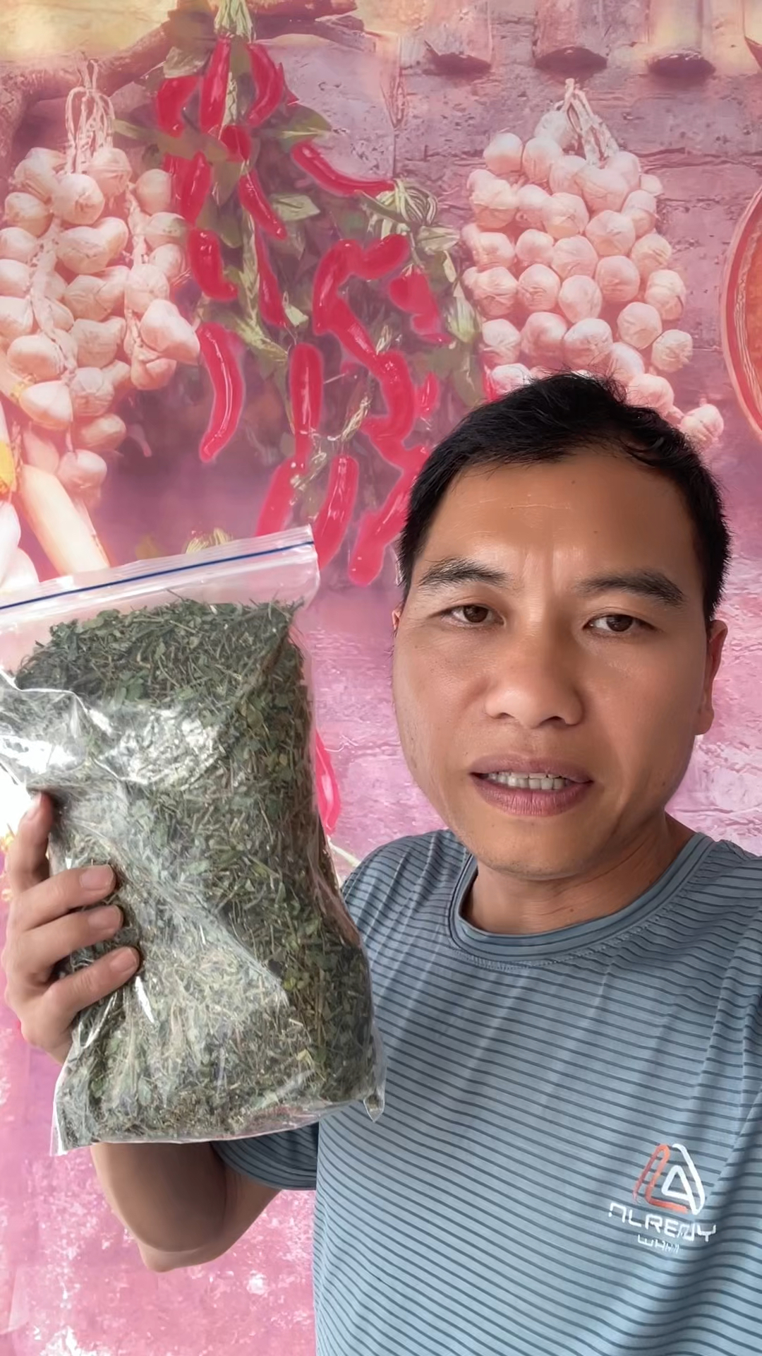 炮哥摘了些野生的鸡骨草泡茶,刚刚晒干的看着好新鲜,太好了