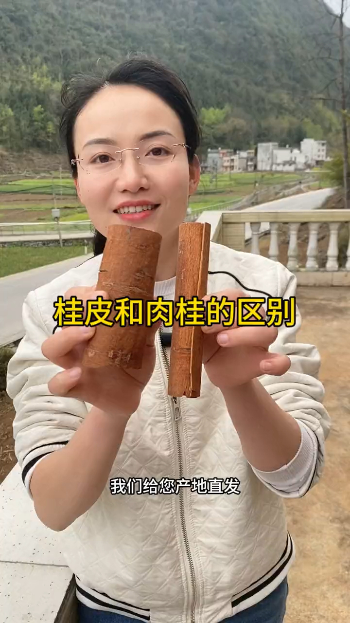 桂皮和肉桂有什么区别?老肉桂更好更香#桂皮 #产地直发 #美食