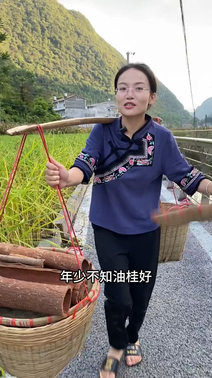 油桂,卤肉炖肉必备的香料,油桂油所以更好更香,油桂比肉桂好
