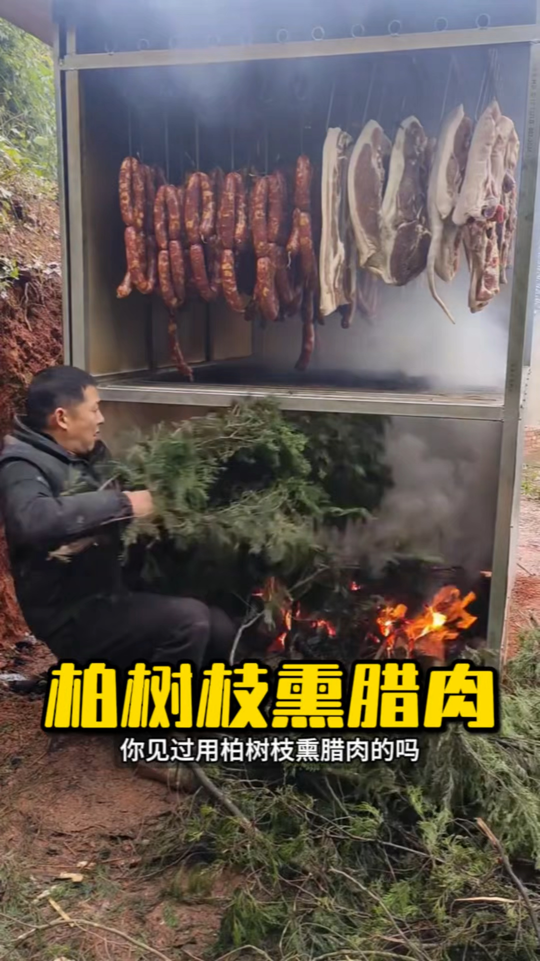 农村熏腊肉的秘密，居然是柏树枝！ #柏树枝 #熏腊肉