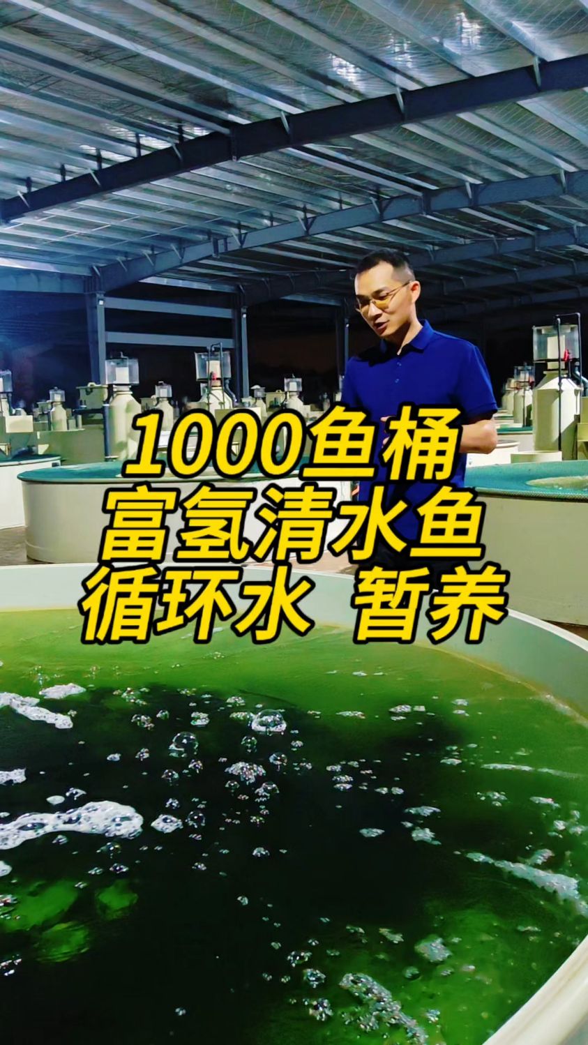 1000套富氢循环水养殖吊水暂养鱼池,清水出好鱼,水好鱼才好