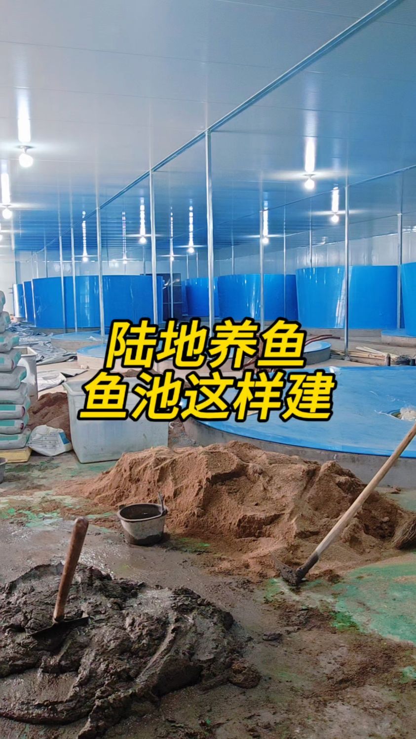 陆地养鱼，工厂化循环水高位池高密度循环水养殖鱼池建设过程