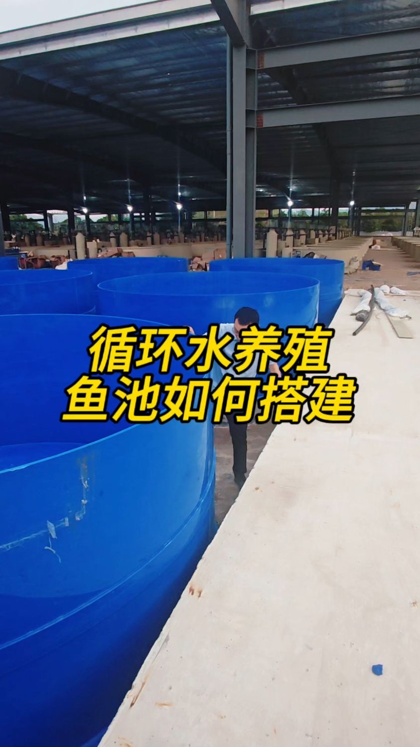 鱼菜高今天给大家分享循环水养殖RAS系统鱼池应该怎么建？