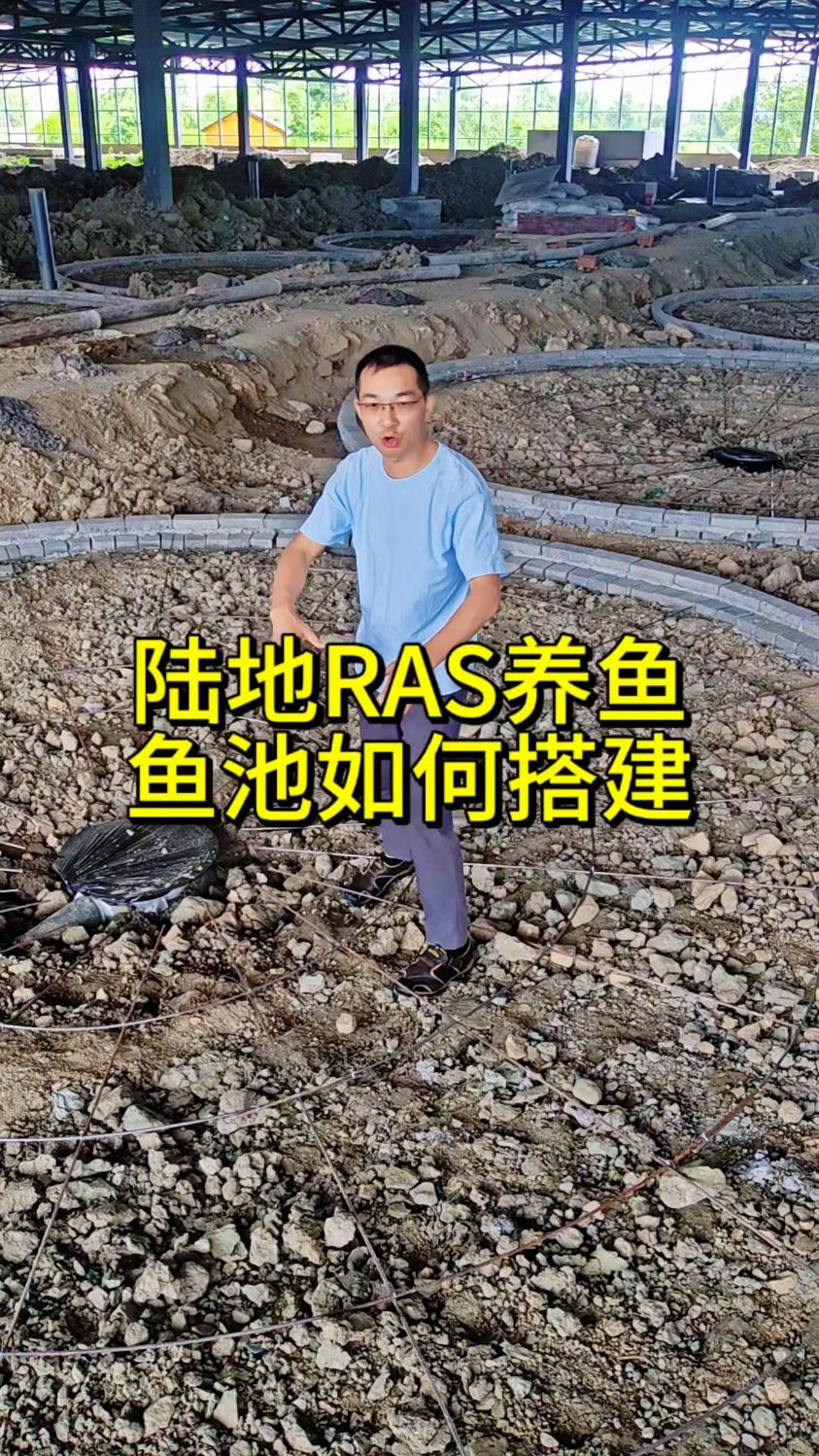 陆基高位池循环水高密度养殖鱼池搭建#循环水养殖 #鱼菜高