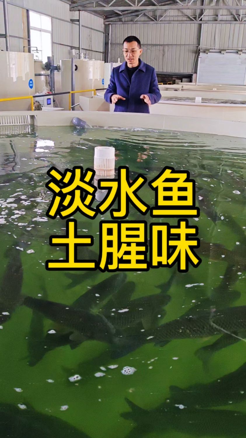 农民专家乡村工匠鱼菜高分享淡水鱼土腥味的形成原因和去除方法？