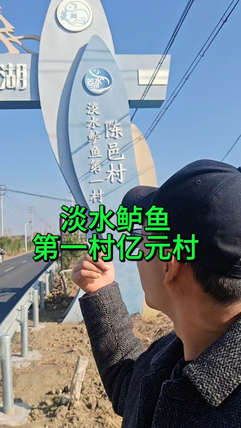 淡水鲈鱼养殖第一村,湖州南浔菱湖镇陈邑村#鱼菜高#水产养殖#鲈鱼