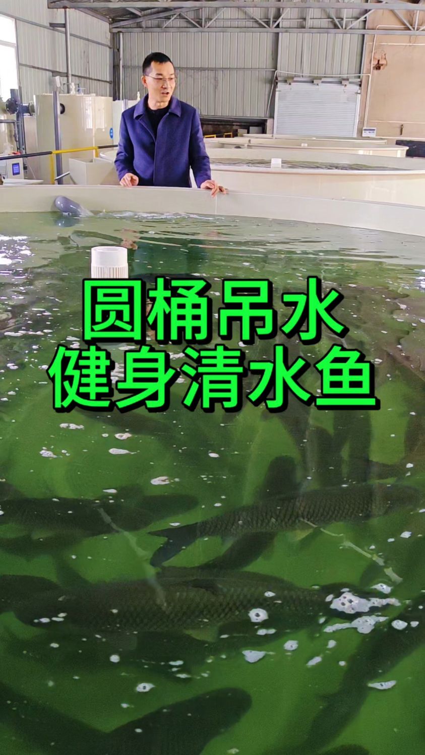 鱼的土腥味怎么解决?试试源渔宙渔摇篮吊水清水鱼养殖系统