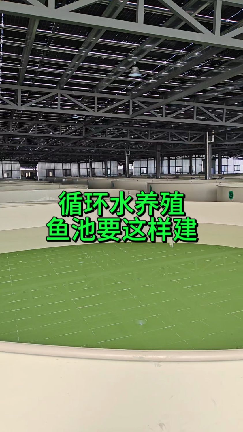 鱼菜高分享源渔宙智慧渔业渔摇篮循环水养殖鱼池搭建