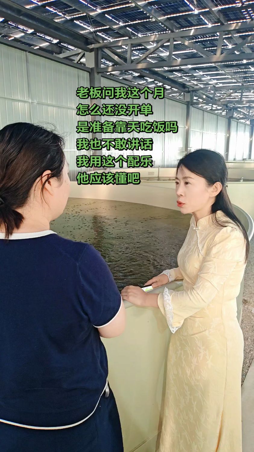 棚顶光伏发电，棚下圆桶养鱼#循环水养殖 #高位池养殖 #清水鱼