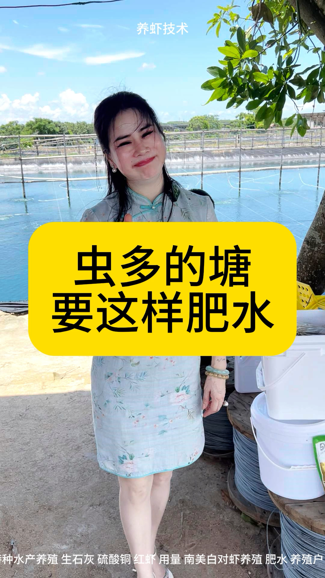 虫多的塘要用遮光肥水法去肥水#南美白对虾养殖#养虾人#土塘养虾#