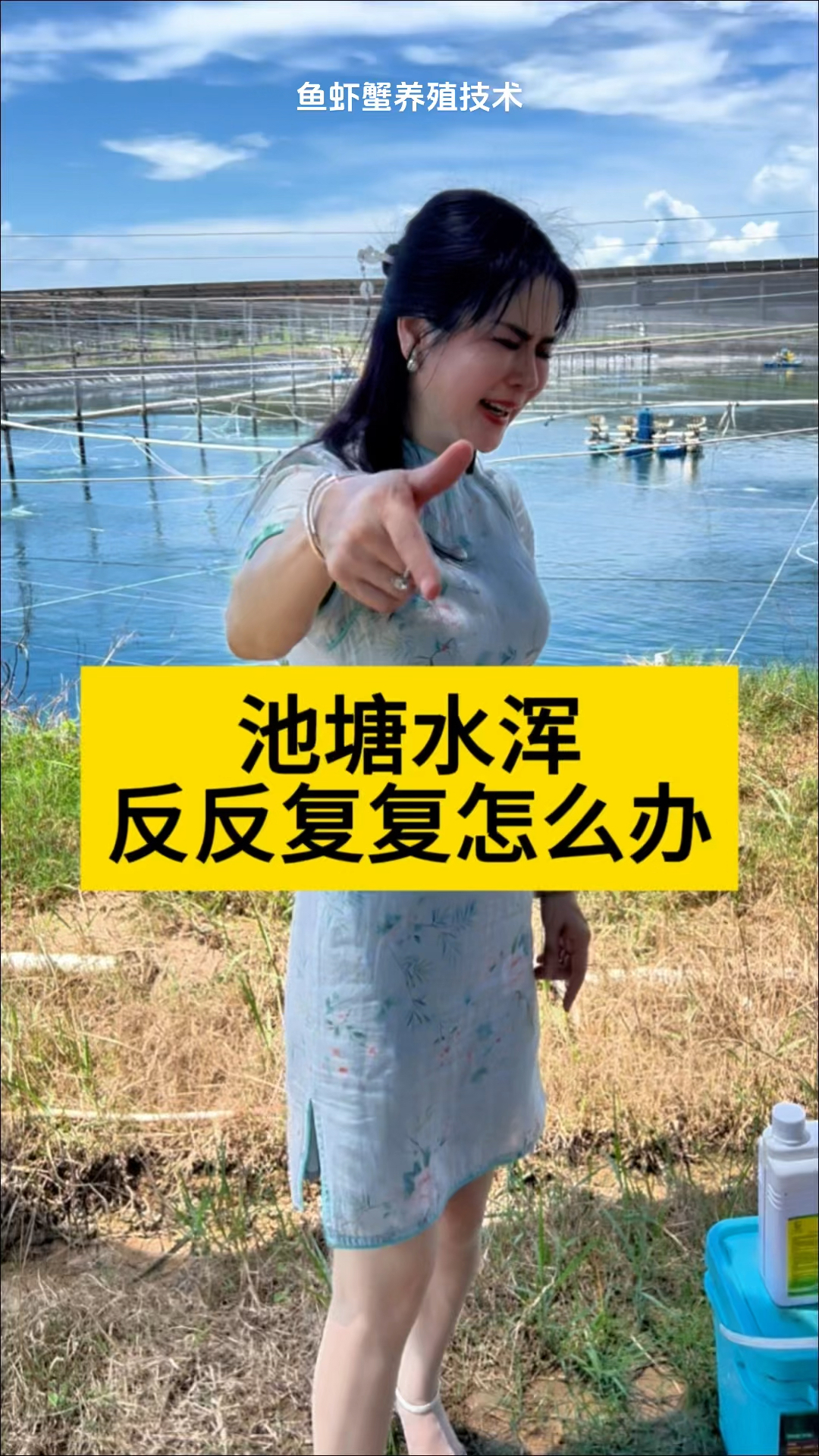 池塘水浑反反复复怎么办#南美白对虾养殖 #养虾人 #小棚养虾