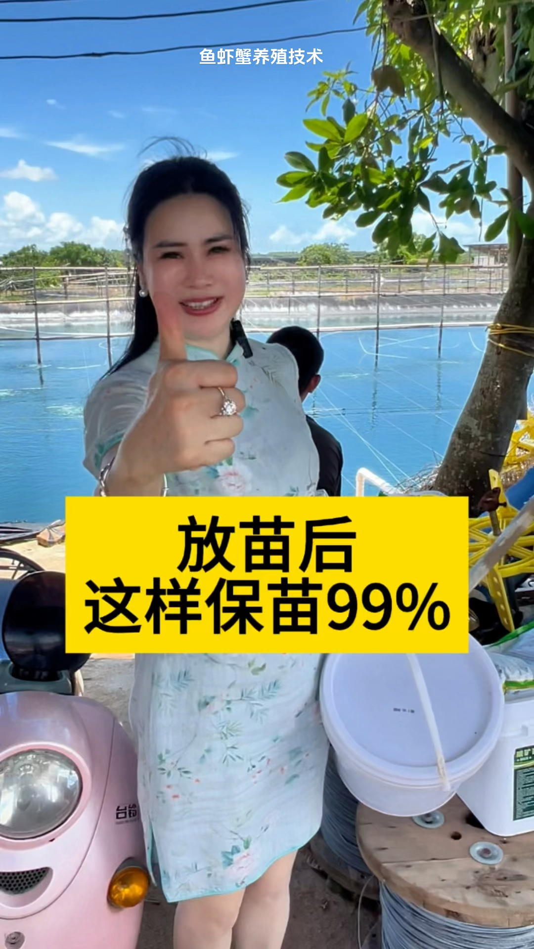 放苗后这样保苗99%#南美白对虾养殖#小棚养虾#土塘养虾