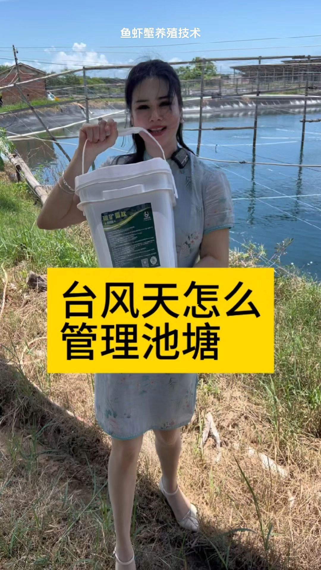 台风天怎么管理池塘#养虾人 #南美白对虾养殖 #小棚养虾#土塘养虾