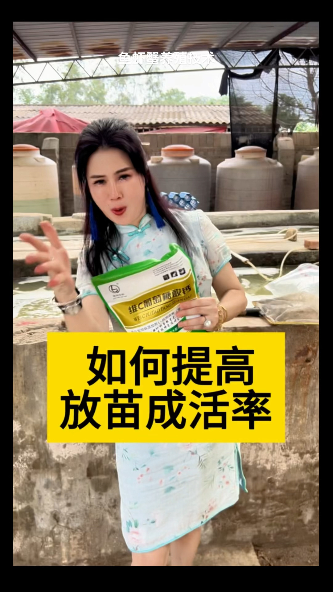 如何提高放苗成活率#养虾人#南养白对虾养殖#小棚养虾#工厂化养虾