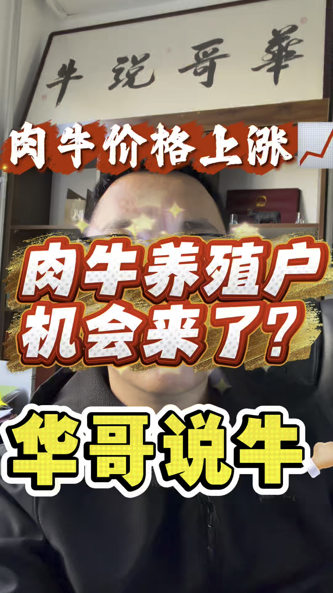肉牛价格上涨!养殖户的机会来了?#华哥说牛#肉牛涨价#肉牛催肥