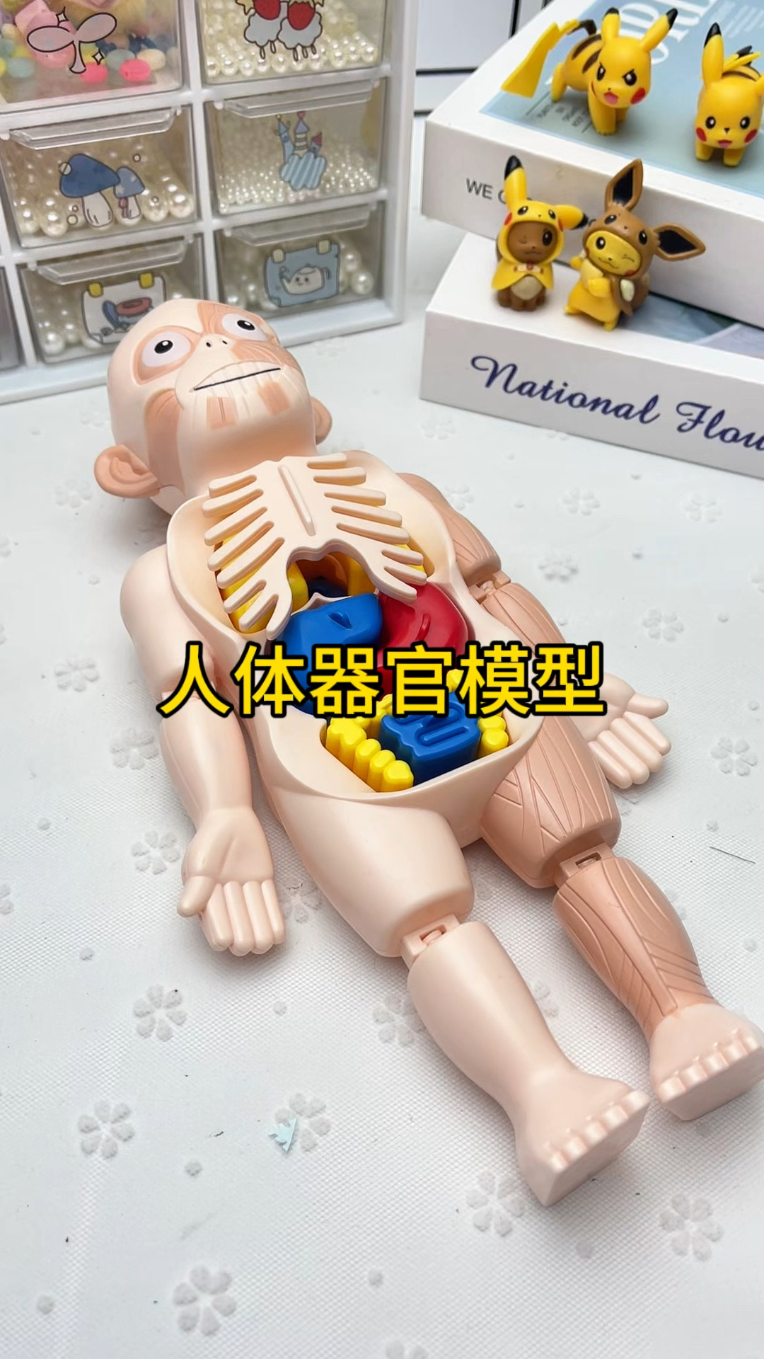 让孩子迅速就能认识身体器官的模型,边玩边学可太简单了