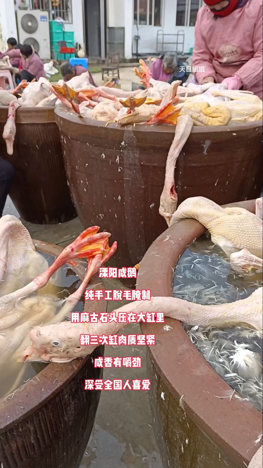 溧阳咸鹅纯手工脱毛腌制,用石头压在大缸里,翻三次缸肉质坚紧香