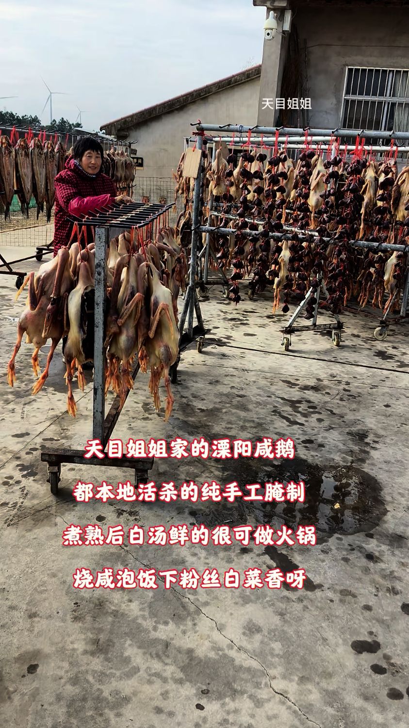 溧阳咸鹅本地活杀白汤可火锅下粉条白菜,咸泡饭搭搭