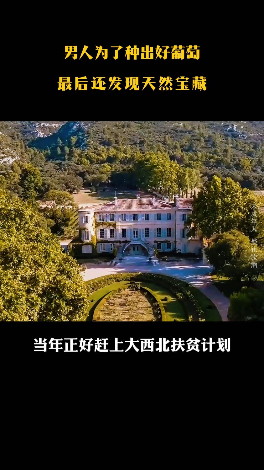 宁夏葡萄酒!!!!