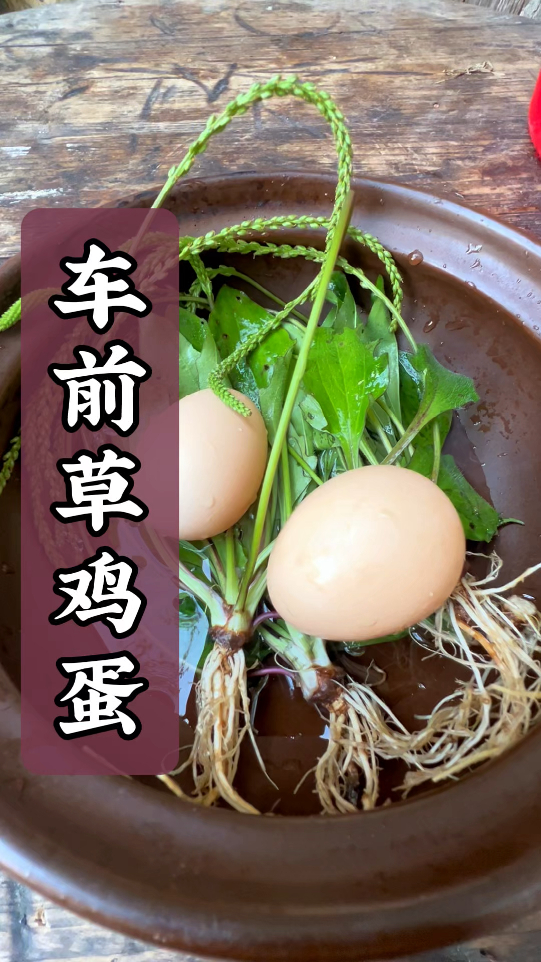 车前草煮鸡蛋,大家要认真看,老一辈的土办法真不错