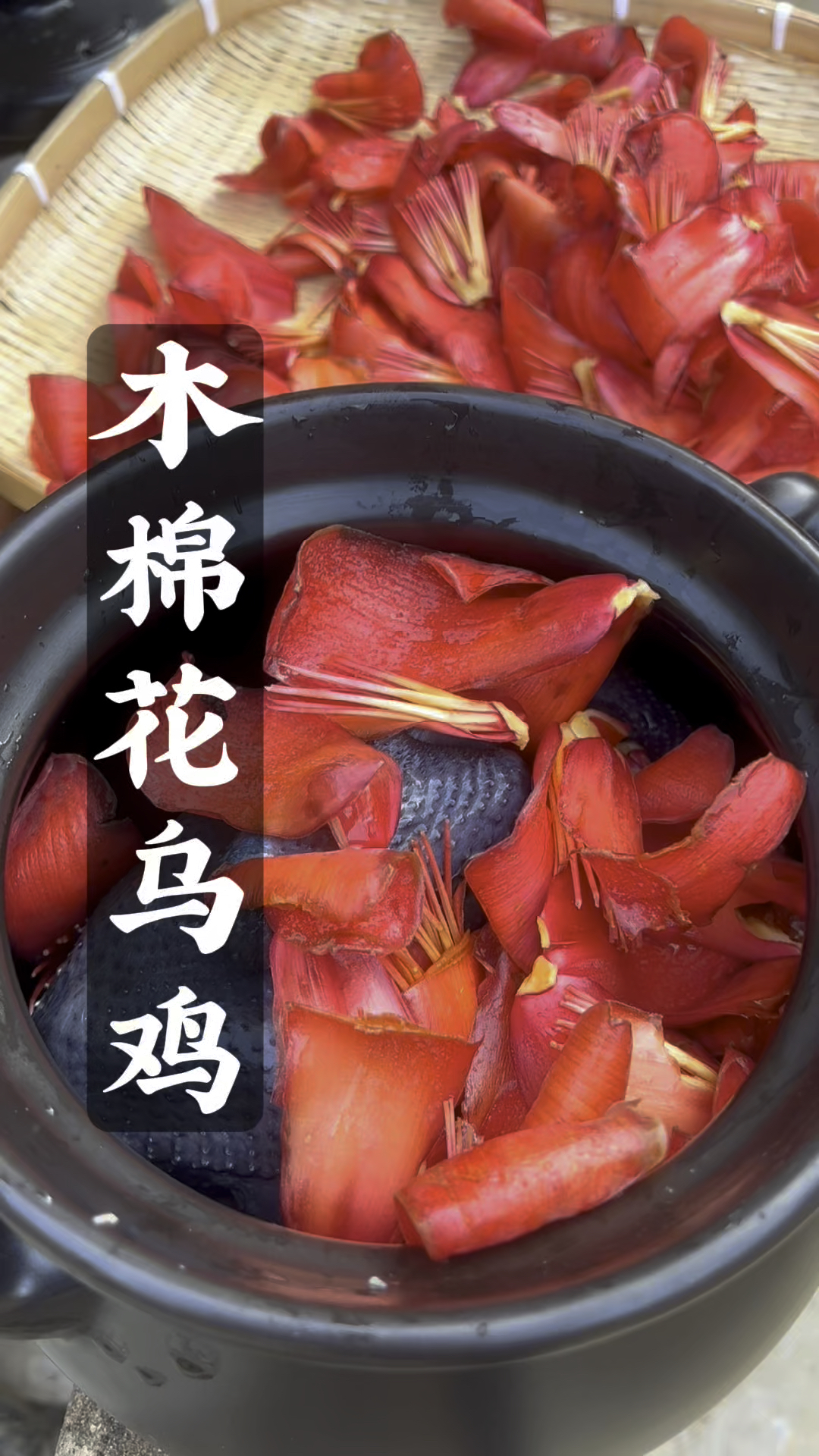 春日木棉花神仙吃法!爆火全网的木棉花炖乌鸡汤教程
