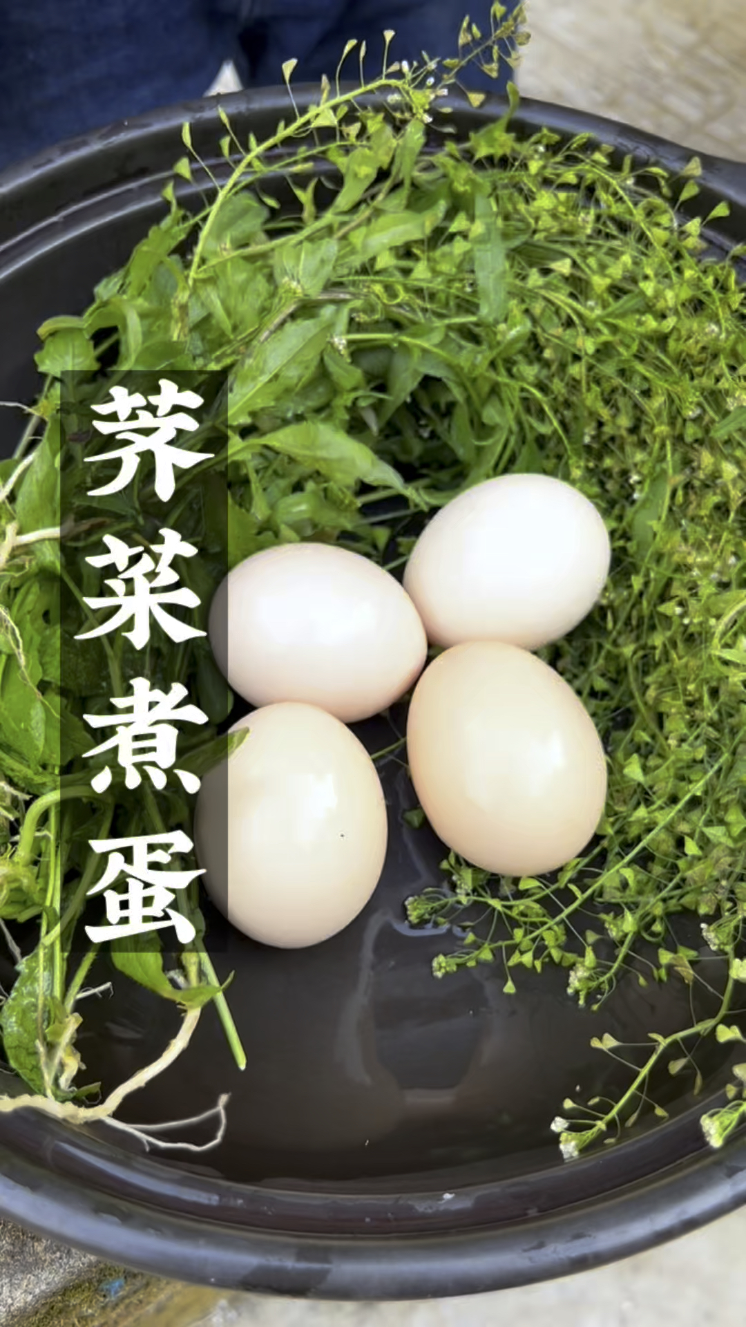 都说阳春三月三。荠菜煮蛋赛灵丹,你哪里有吃荠菜煮蛋的习俗吗