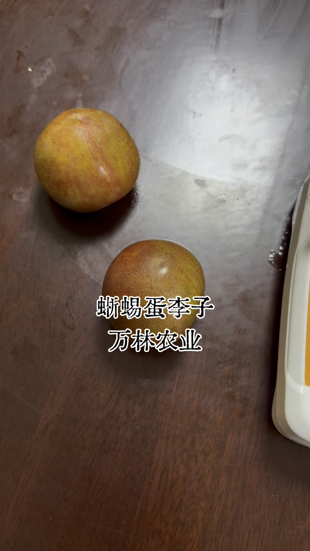 早熟蜥蜴蛋李子树苗品种含糖量有多少