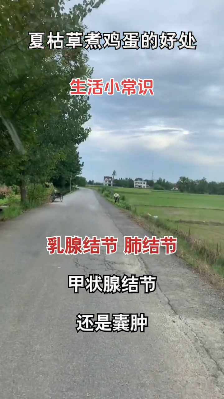 生活小常识《夏枯草煮鸡蛋的好处》