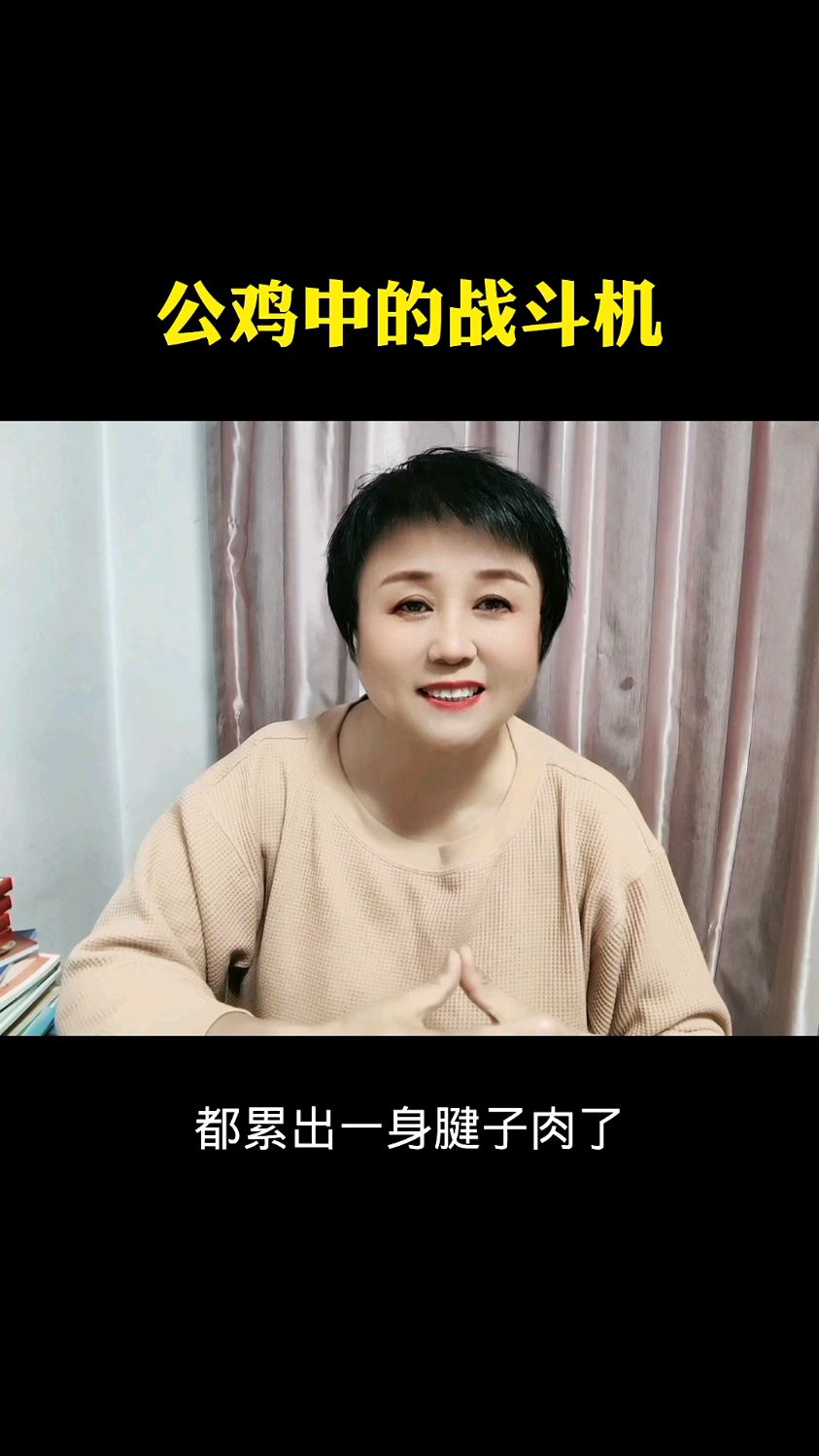 公鸡中的战斗机!