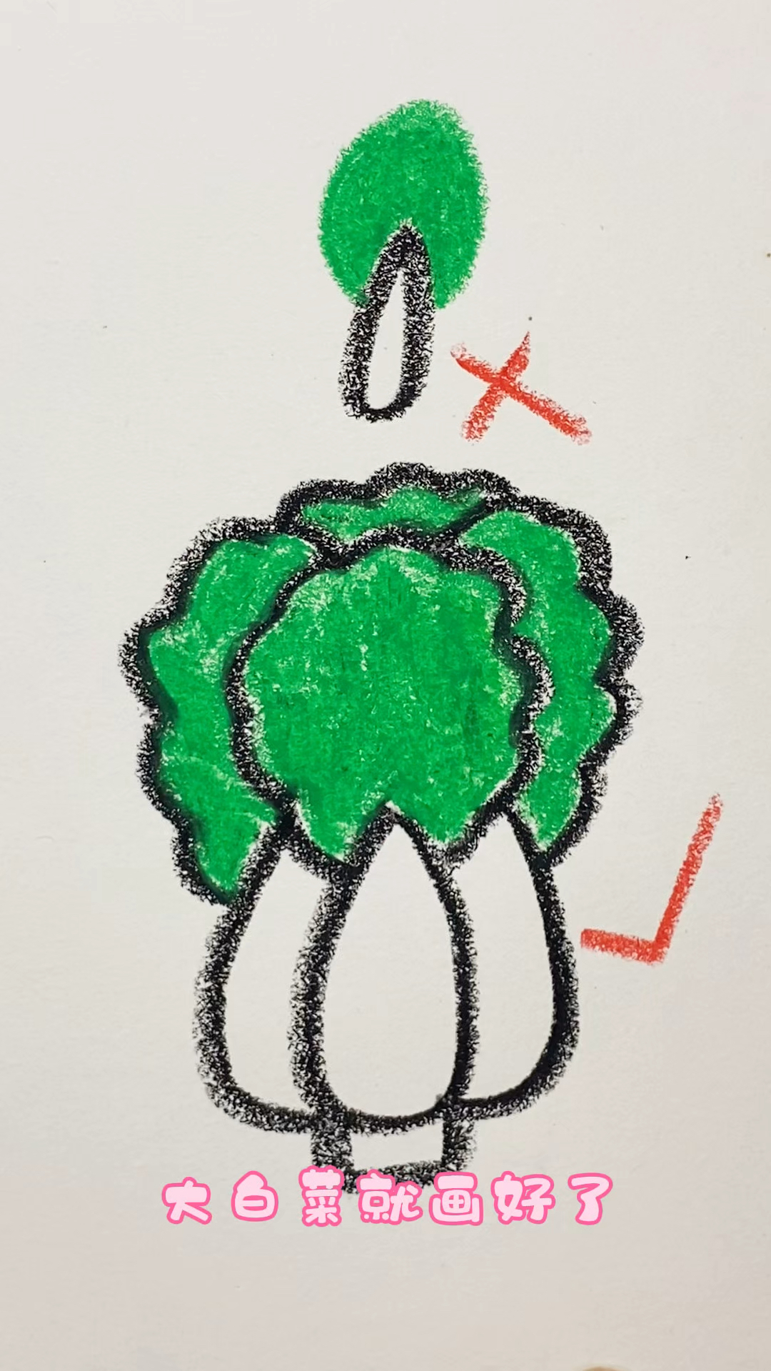 简单易学画白菜。