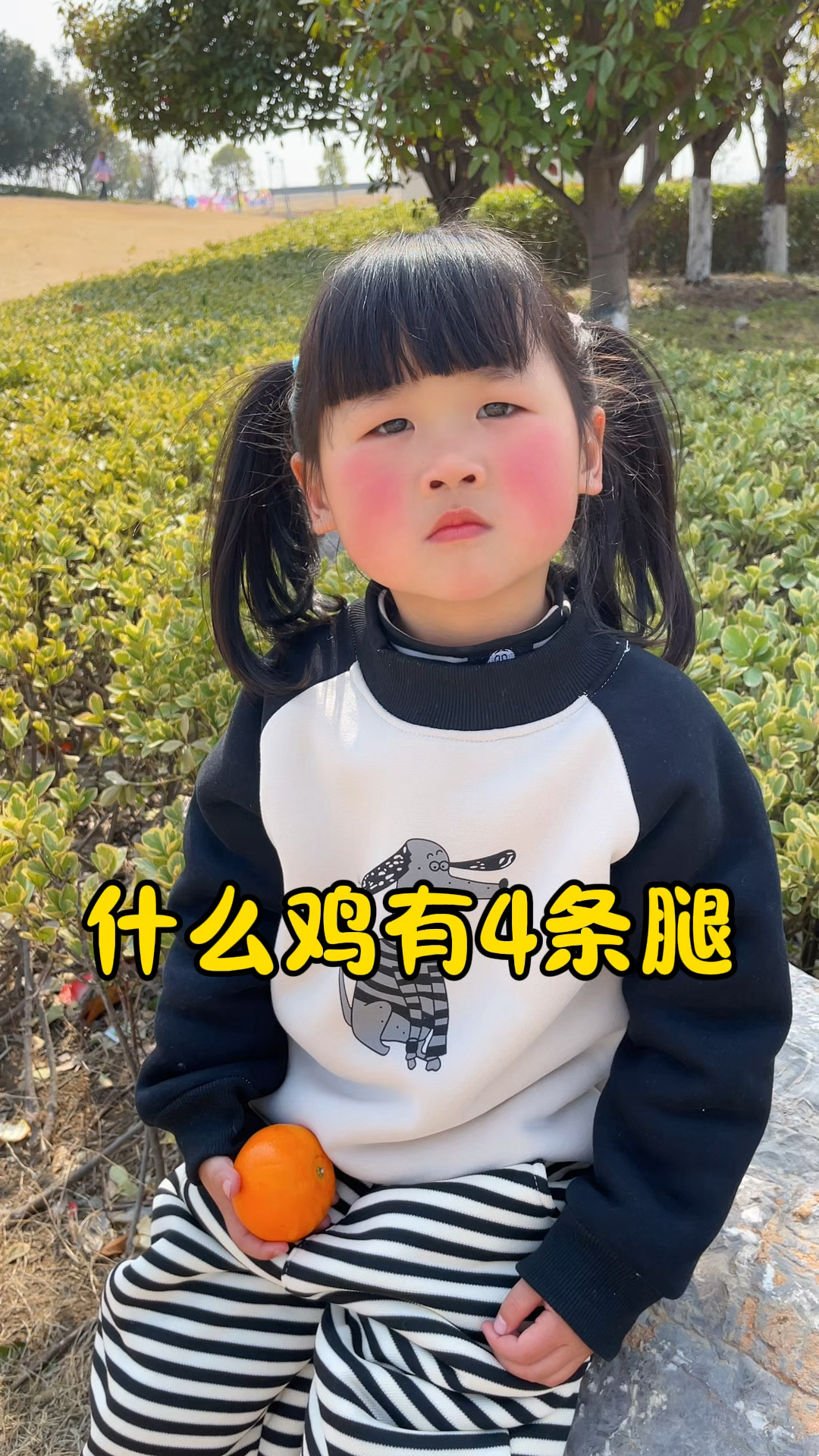 什么鸡有四条腿?