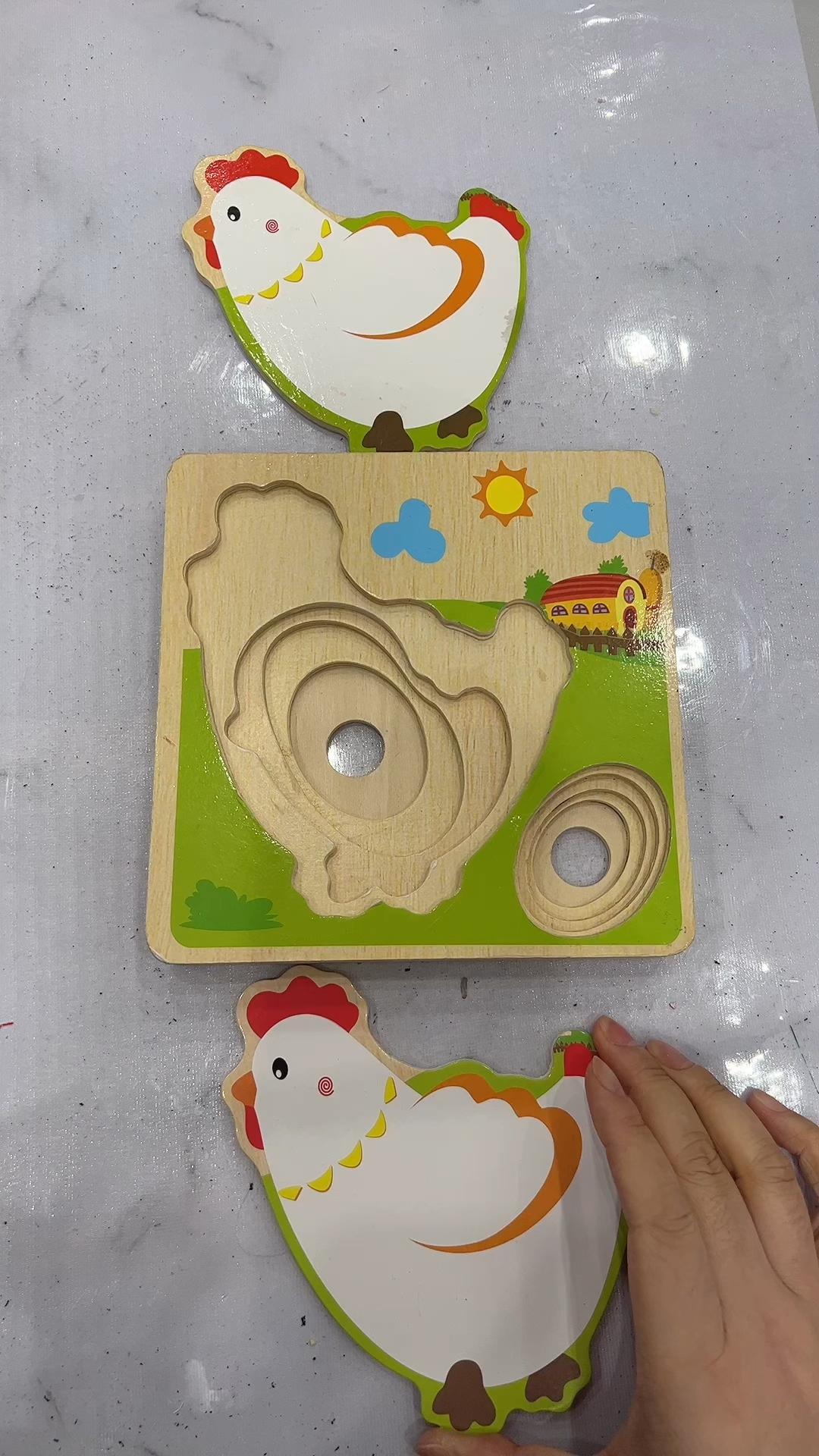 母鸡为什么生个荷包蛋啊?