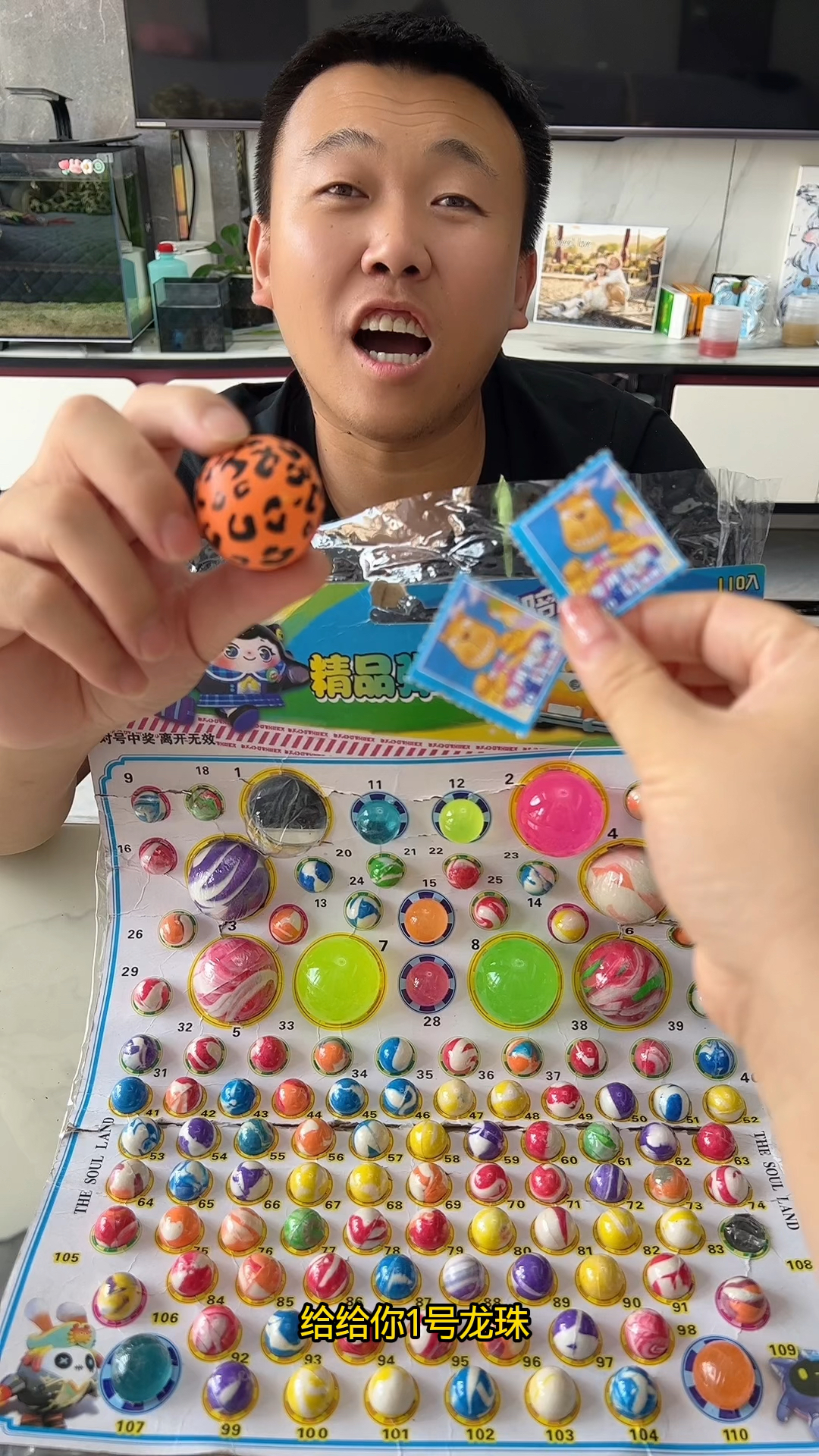 这个一号龙珠应不应该给我呢?