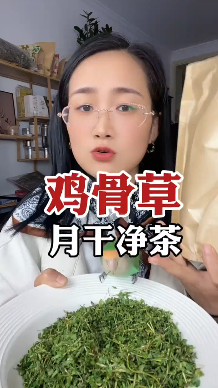 鸡骨草,它的好处您知道它?用它泡水价值高