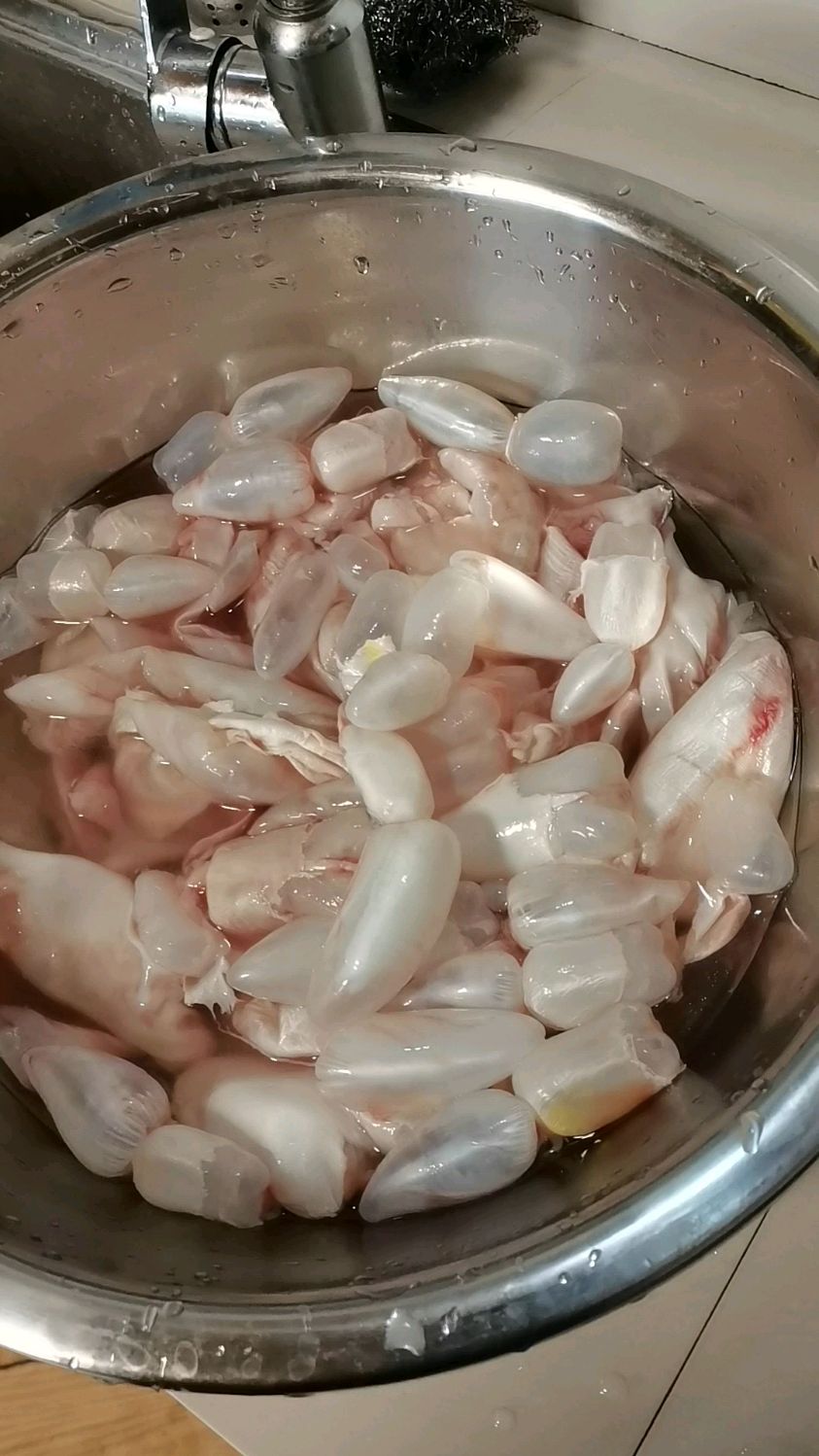 新买的鱼泡和鱼籽,去除血水下火锅,你觉得味道怎样?