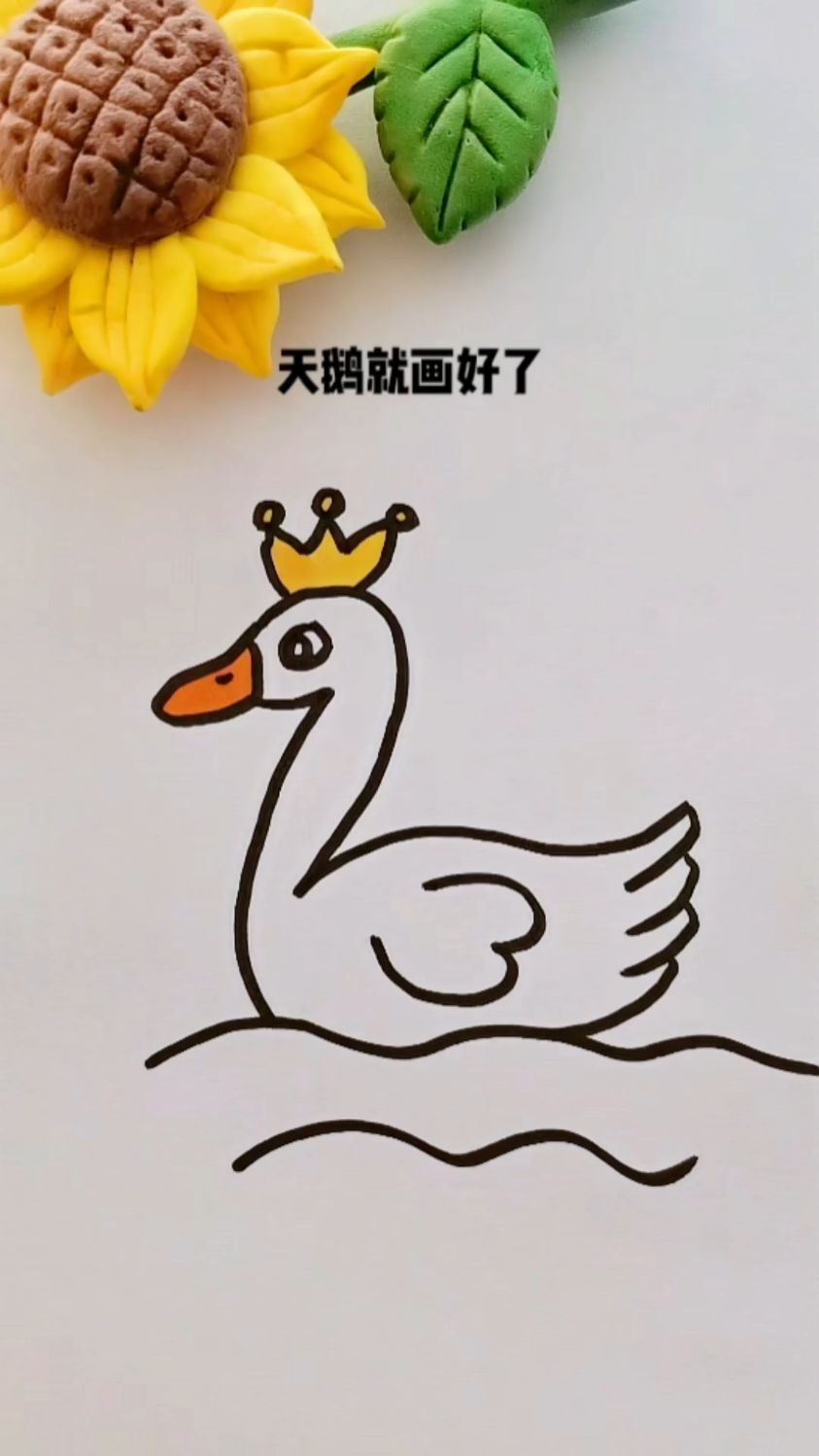 戴皇冠的白天鹅!