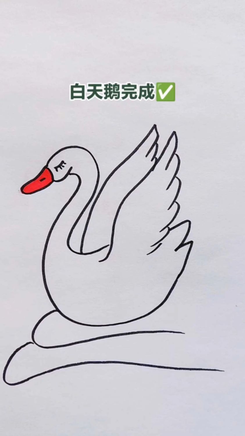 这样白天鹅就完成了