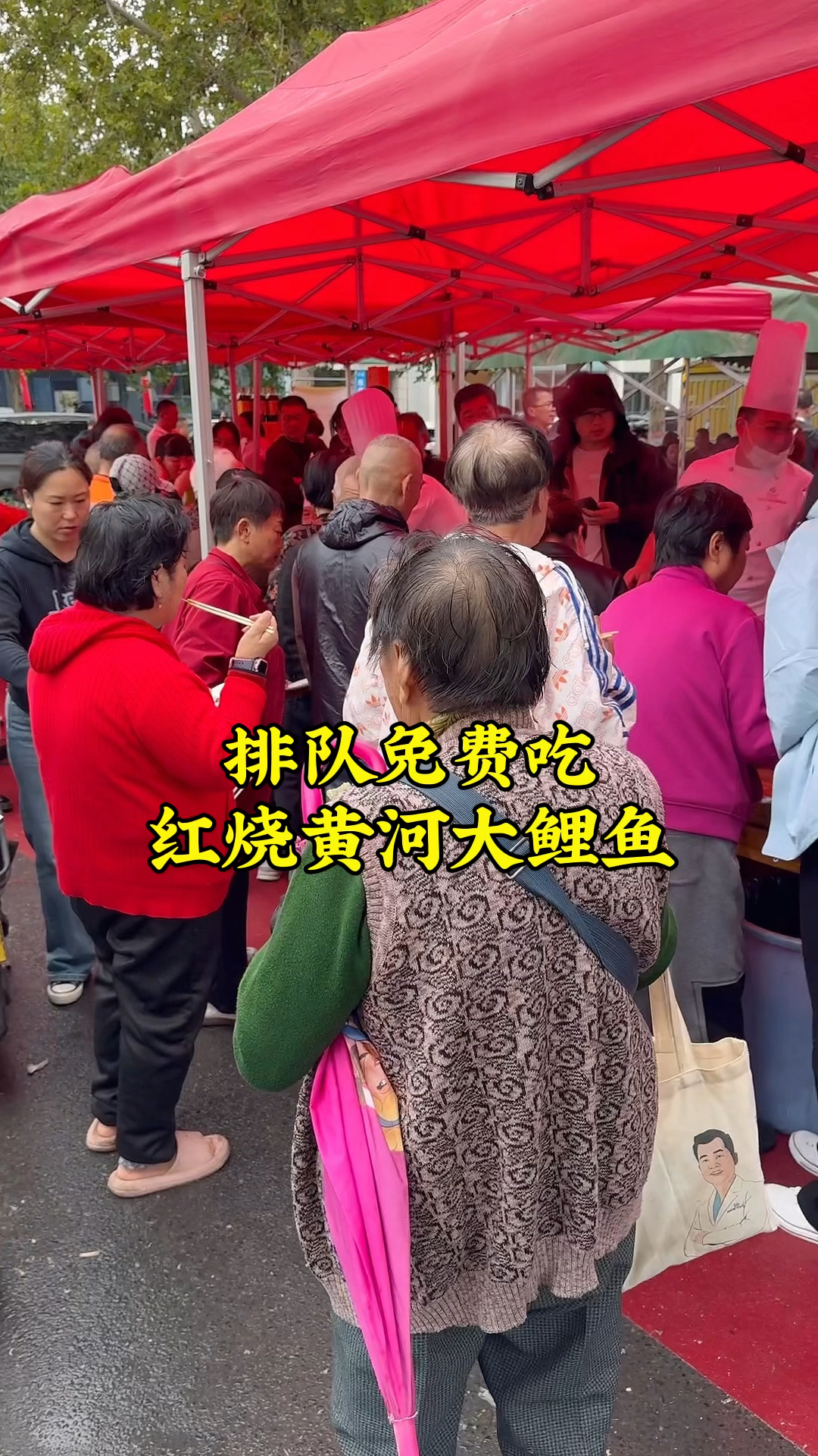 郑州城东路康健一条街,红烧黄河大鲤鱼排队免费吃,现场人气爆棚