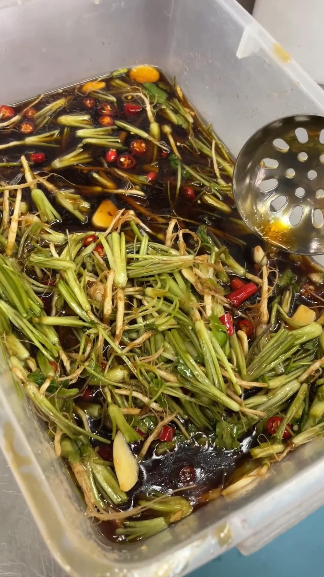 香菜最好吃的是香菜根,油炸或者凉拌老香了,你喜欢吃香菜根吗?