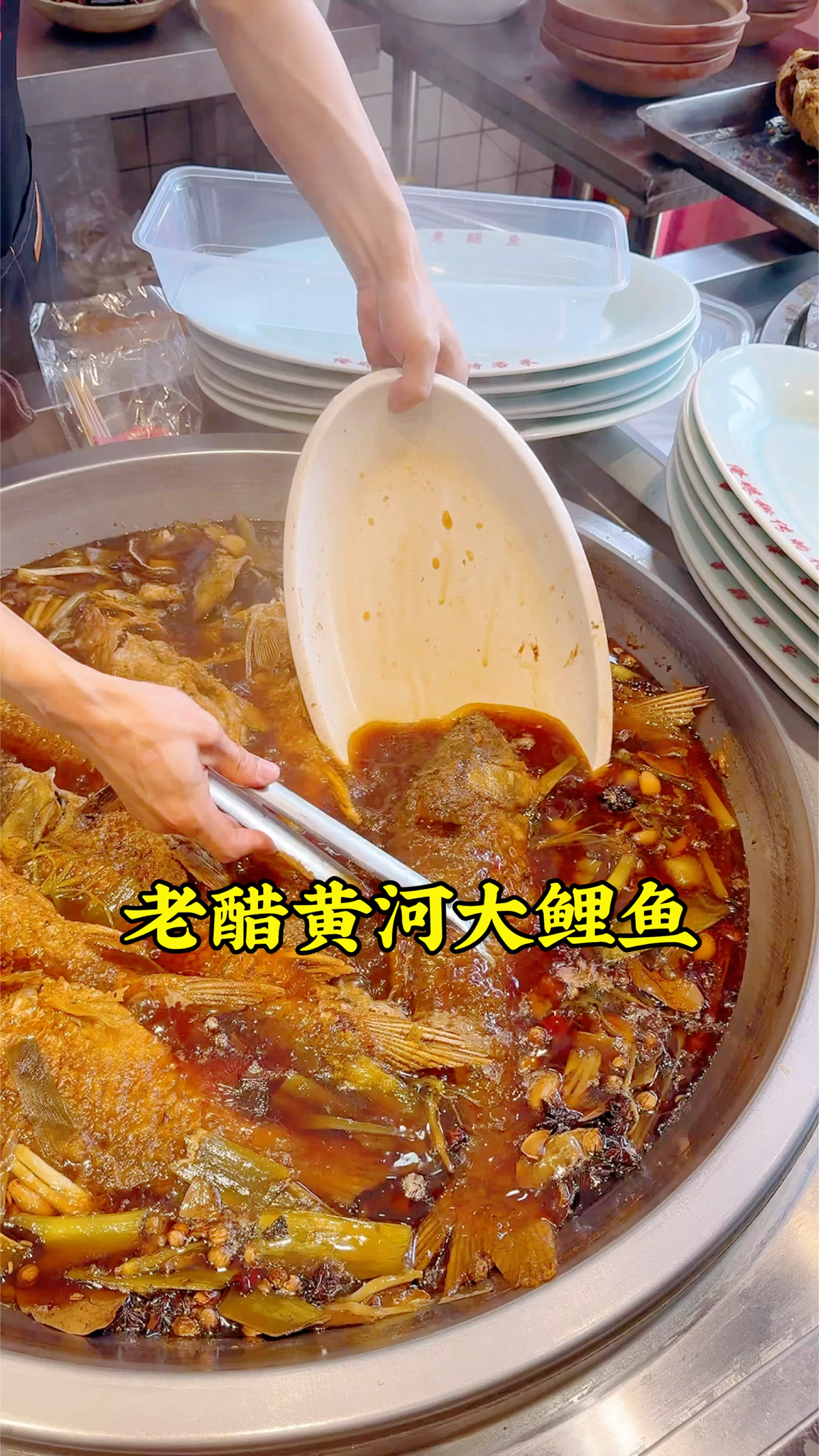 端午节，郑州马寨吃的老醋黄河大鲤鱼，一条三斤才59，好吃又不贵