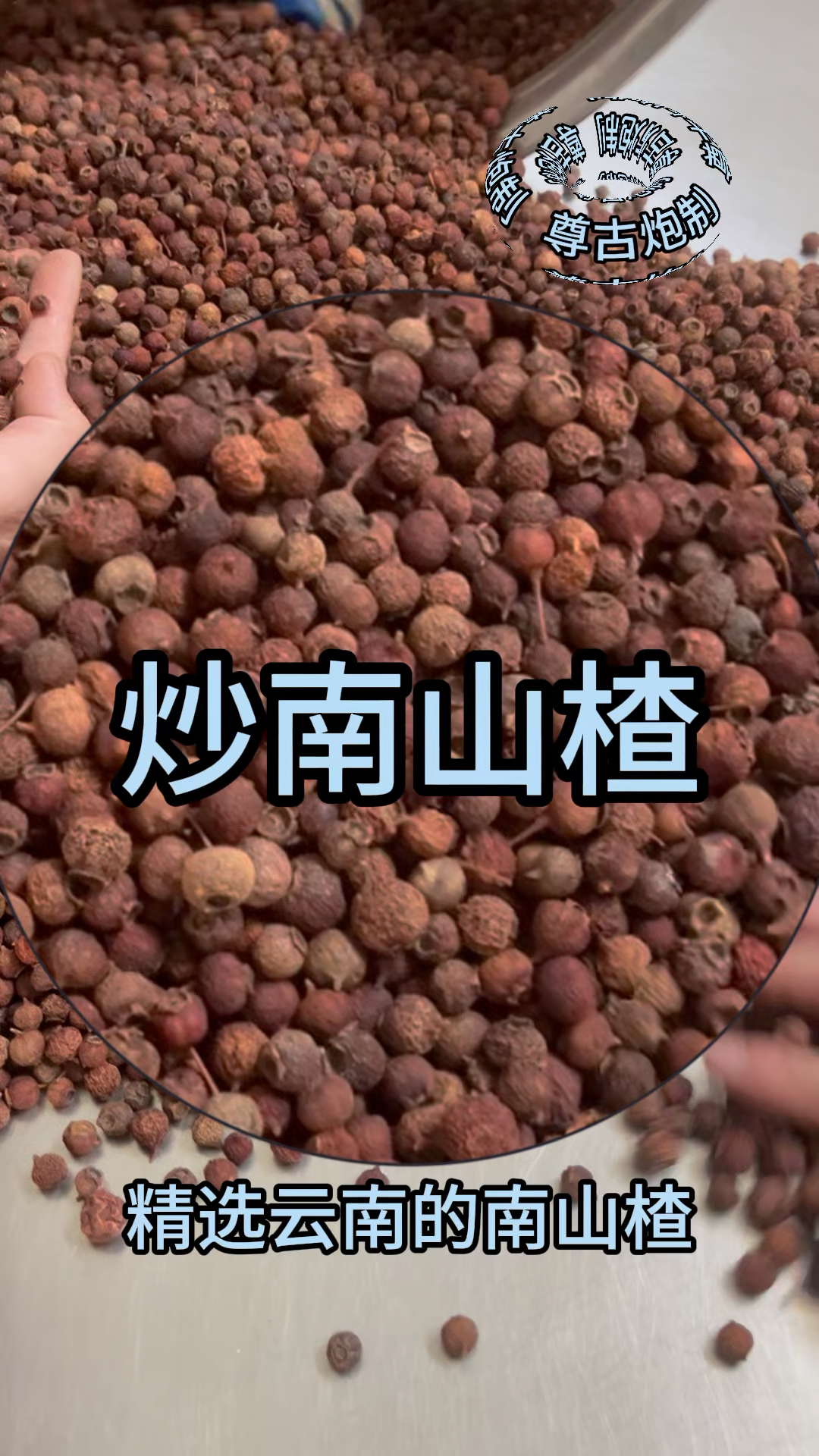 跟着老药师学习,仲景古法炮制中药材炒南山楂