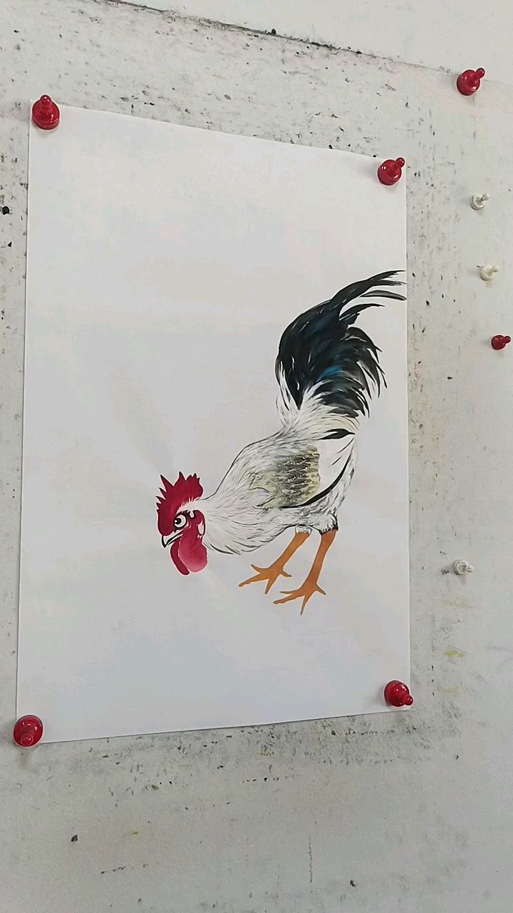 王兴民国画公鸡作品欣赏