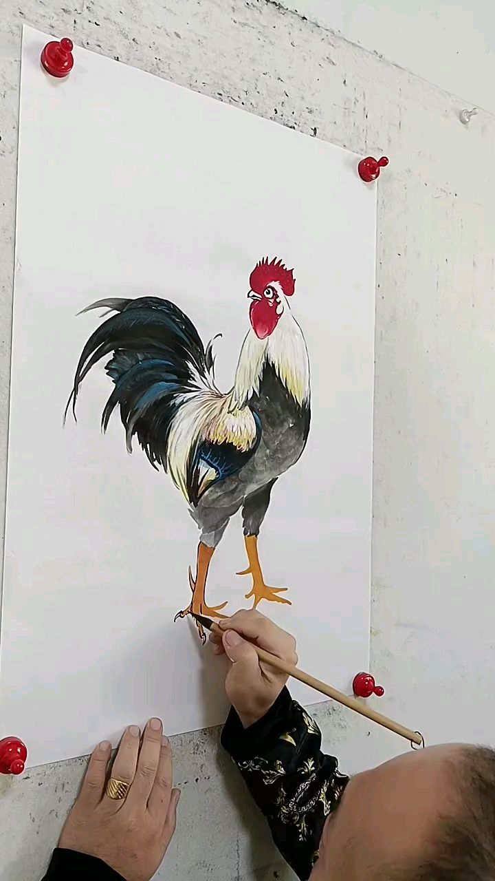 王兴民国画公鸡作品欣赏,专业的绘画公鸡,画公鸡最好看的