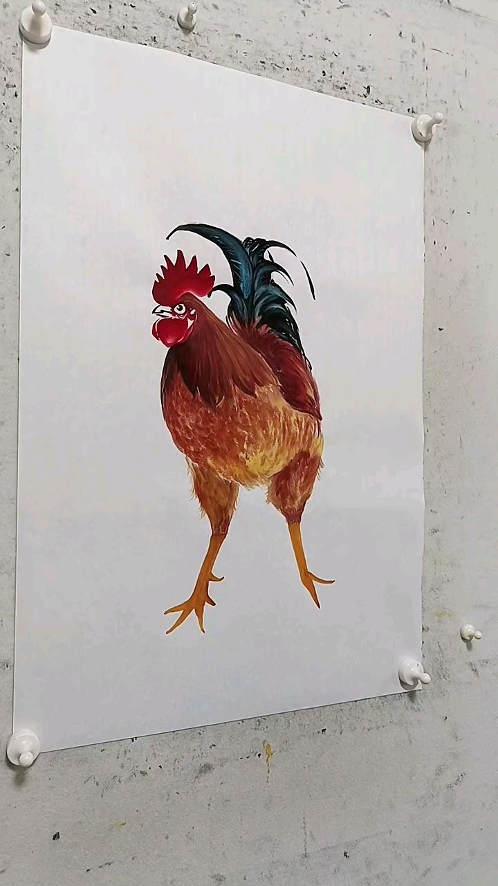 王兴民国画公鸡作品欣赏