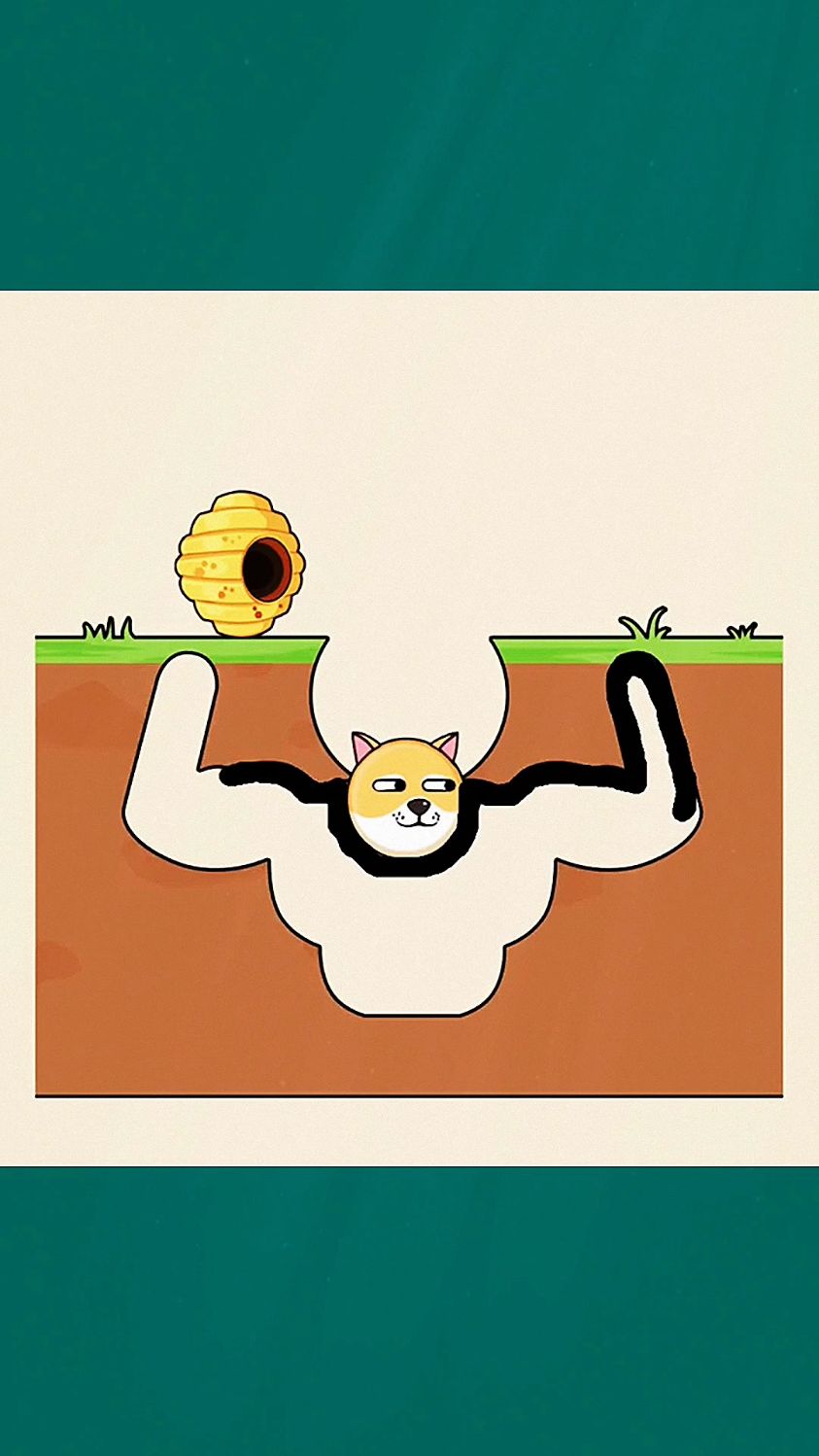 肌肉狗狗在线求救