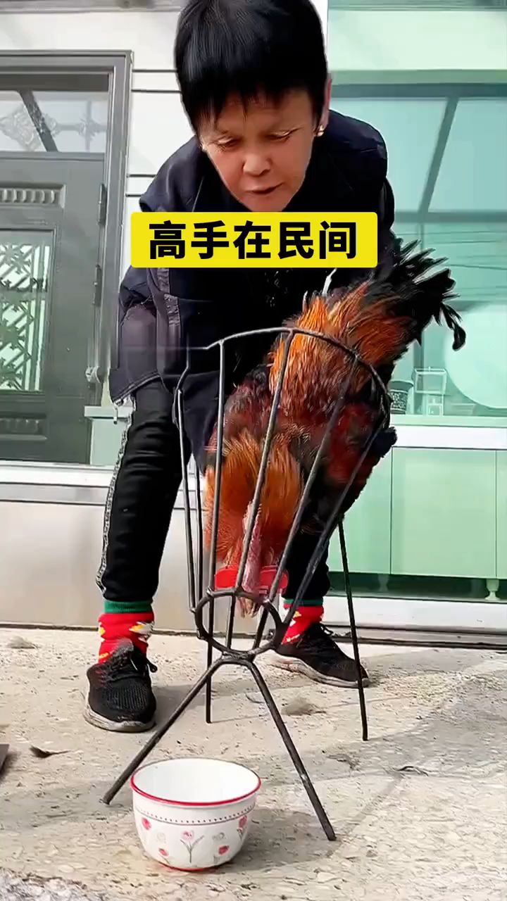 一个人怎么快速杀鸡,教你一个方法!
