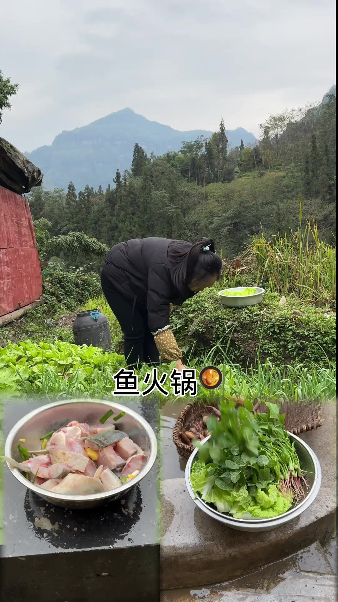 今天安排一顿鱼火锅吃